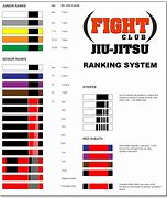 Image result for Brazilian Jiu Jitsu Belts Order