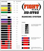 Image result for Jiu Jitsu Belt Order