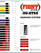 Image result for Belts in Jiu Jitsu