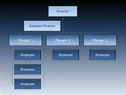 Image result for Vertical Structure of Organization