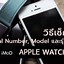 Image result for Apple Watch S6