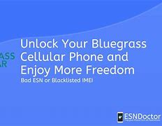 Image result for Bluegrass Cellular Galaxy 5S