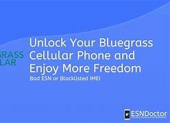 Image result for Bluegrass Cellular MMS