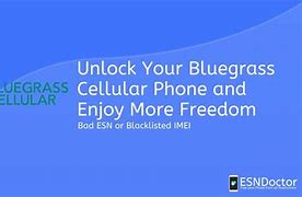 Image result for Bluegrass Cellular MiFi