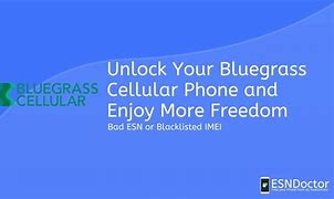 Image result for Bluegrass Cellular Smartphone Plans