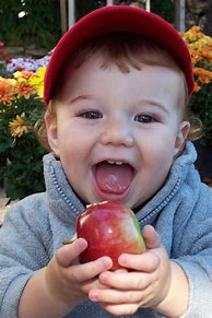 Image result for Apple-Picking NY