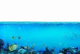 Image result for Underwater Ocean Clear Background