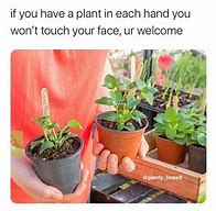 Image result for Plant Dealer Meme