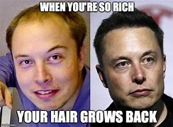 Image result for Elon Musk Hair Meme