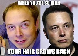 Image result for Elon Musk Haircut Meme