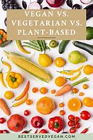 Image result for Difference Between Vegan and Plant Based Foods