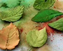 Image result for How to Make Fondant Leaves