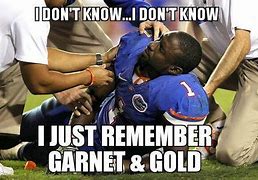 Image result for FSU Football Memes