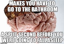 Image result for Bathroom Brain Meme