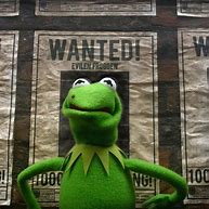 Image result for Kermit Memes Without Words