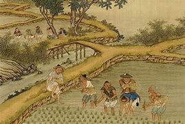 Image result for Ancient China Farm
