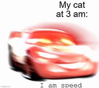Image result for I AM Speed Cat Meme