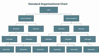 Image result for How to Structure a Business