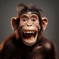 Image result for Goofy Ahh Monkey