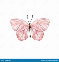Image result for Pastel Pink Butterflies