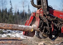 Image result for Forestry Machines Bogged