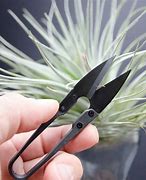 Image result for Garden Scissors