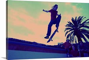 Image result for Skateboarder Wall Art