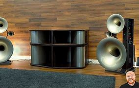 Image result for Horn Speakers Audiophile
