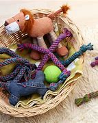 Image result for Rubber Tire Dog Toy