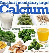 Image result for Best Sources of Calcium