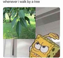 Image result for Funny Leafs Memes