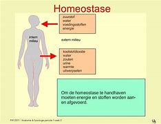 Image result for homeostasie