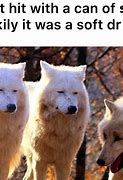 Image result for Cute Funny Wolf Memes