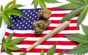 Image result for 4th of July Cannabis