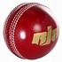 Image result for Leather Ball Cricket