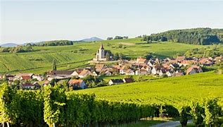Image result for Colmar France Wine Tour