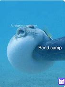 Image result for Summer Band Meme