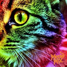 Image result for Rainbow Pop Art Cat