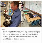Image result for Cat Promposal