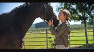 Image result for What Is That Horse Movie