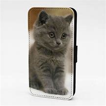 Image result for Kitten Phone Case