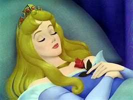 Image result for Sleeping Beauty Disney Princess with Skriral