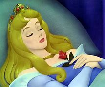 Image result for Princess Sleeping Beauty