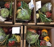 Image result for Local Farm Subscription Box