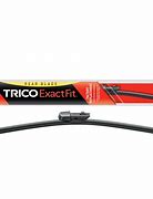 Image result for actinkm�trico
