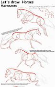 Image result for Horse Animation Steps