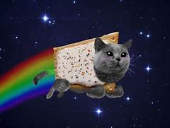 Image result for Flying Cat in Space Meme
