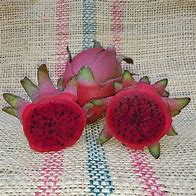 Image result for Red Flesh Dragon Fruit