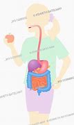 Image result for Girl Eating Apple Digestive System Image