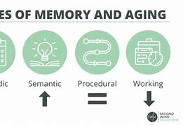 Image result for Episodic Memory Aging